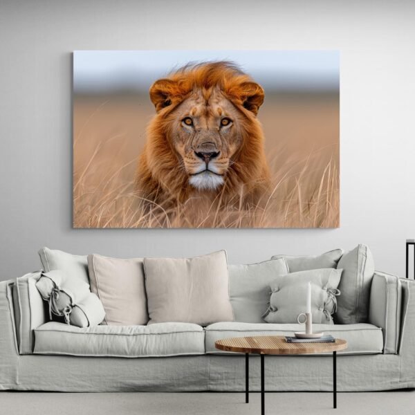 Savannah lion