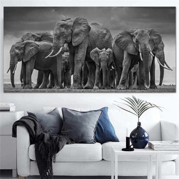 Elephant black and white