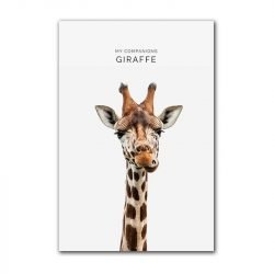 Giraffe portrait