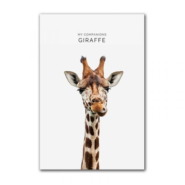 Giraffe portrait