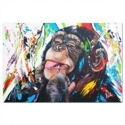 Colorful monkey