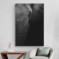 Elephant black and white photography