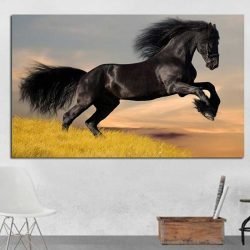 Black horse paint