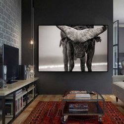 Buffalo wall art