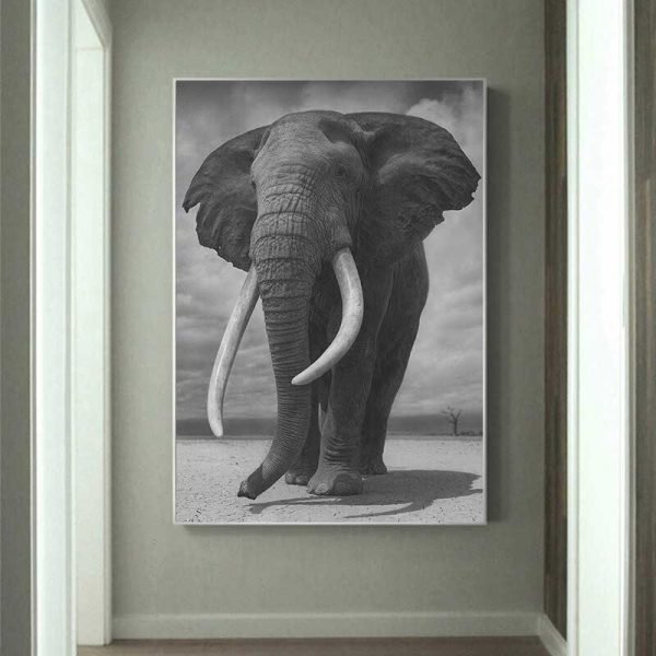 Black and white elephant