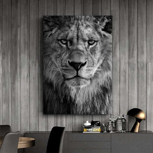 Black and white lion portrait