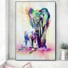 Watercolor elephant