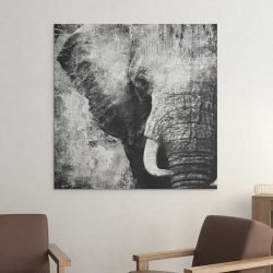 Elephant grey paint