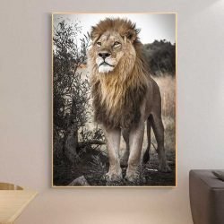 Big lion picture