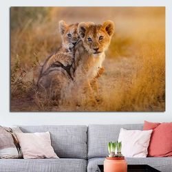 Lion cub images