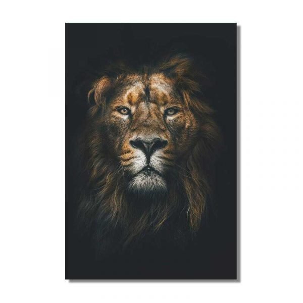 Lion face portrait