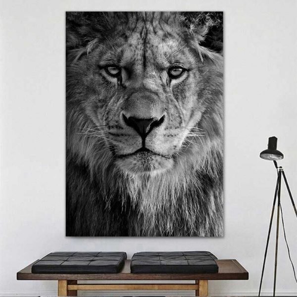 Black and white lion portrait