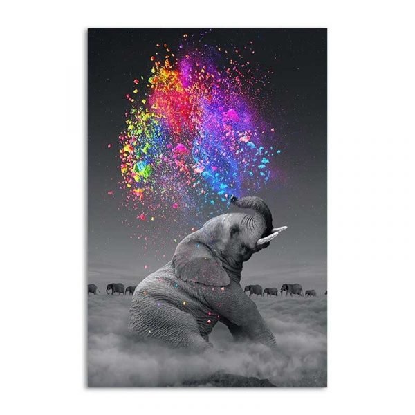 Elephant colorful painting