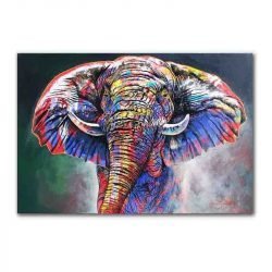 Elephant multicolor