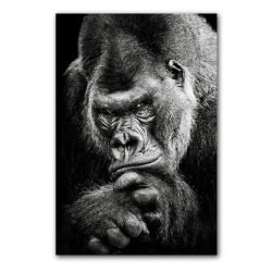 Gorilla portrait