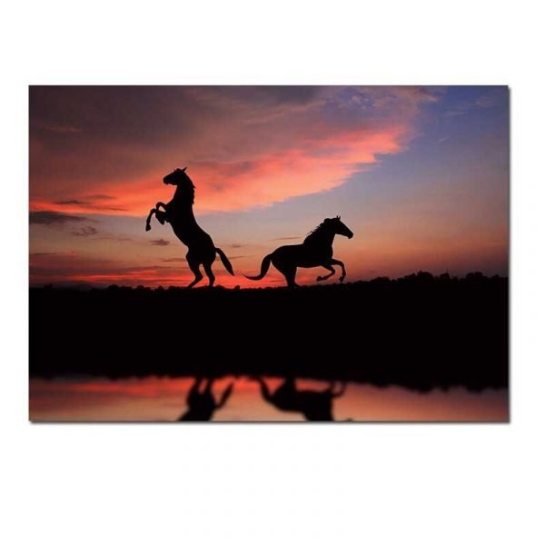 Horses at sunset