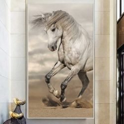 Wild horse photography