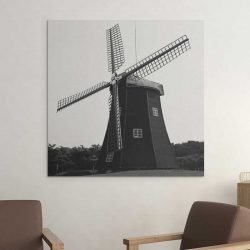 Windmill picture