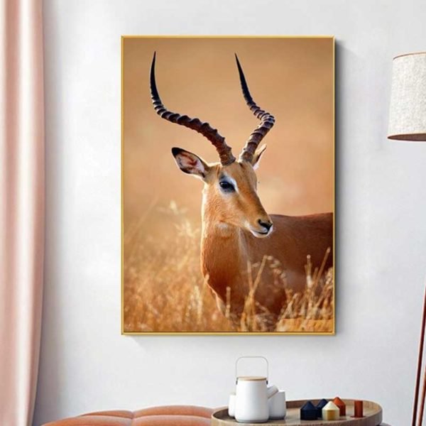 Picture of antelope