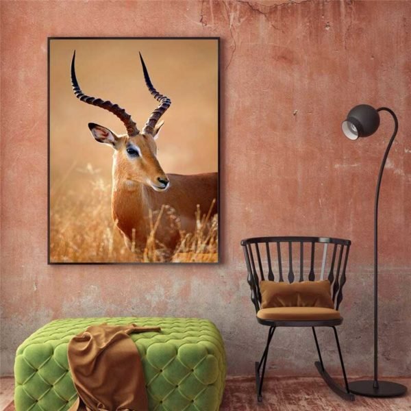 Picture of antelope