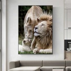 Lion family pic