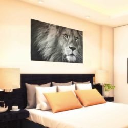 Black and white lion picture