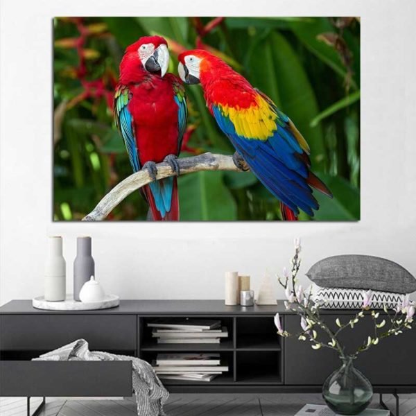 Parrot coloring picture