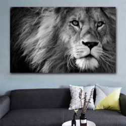 Black and white lion picture