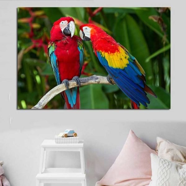 Parrot coloring picture