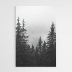 Misty forest painting