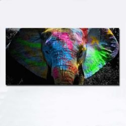 Elephant colorful