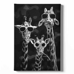 Black and white giraffe