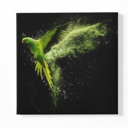 Picture of a green parrot