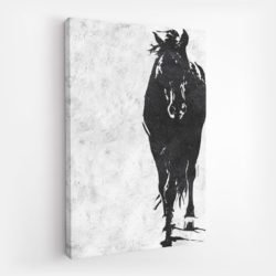 Black and White Horse Painting