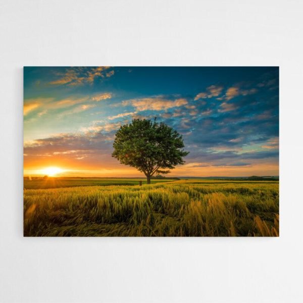 Sunset tree painting