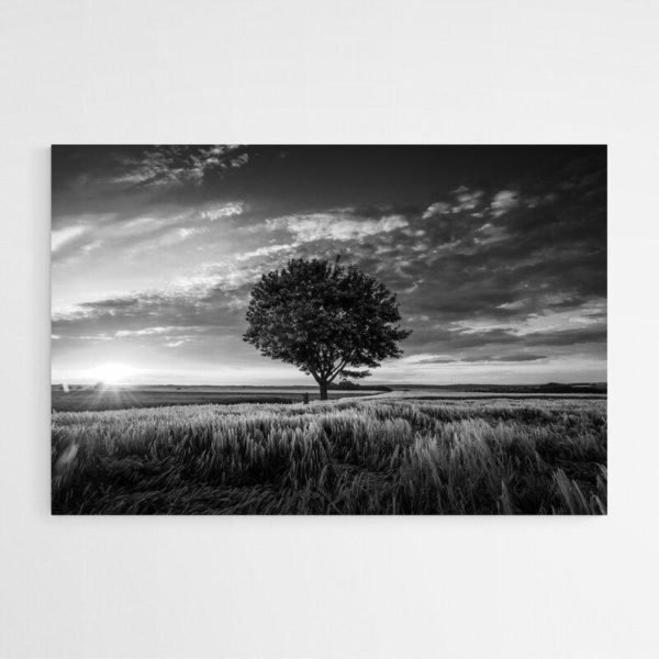 Black and white tree painting