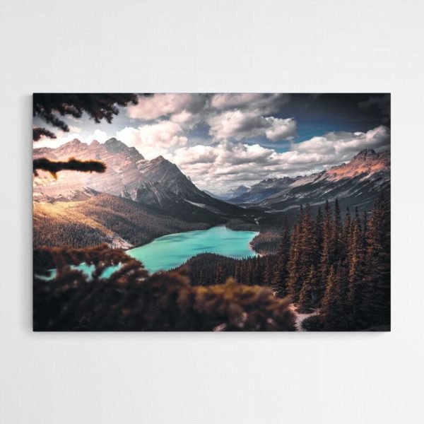 Forest lake painting