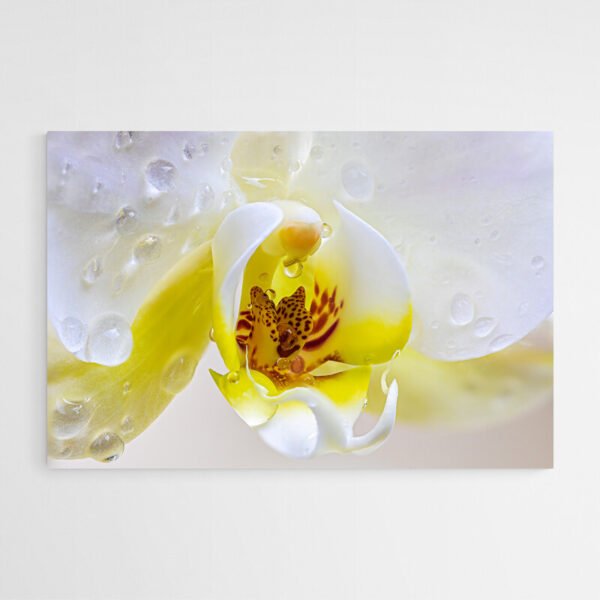 Abstract flower painting