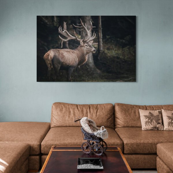 Deer photo