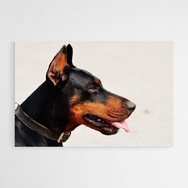 Doberman art