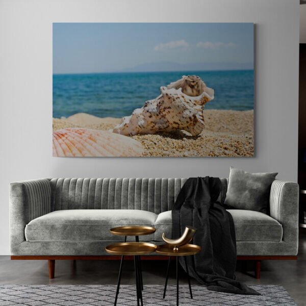 Shell wall art