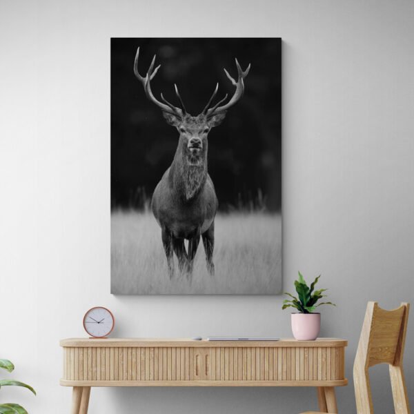 black and white deer art