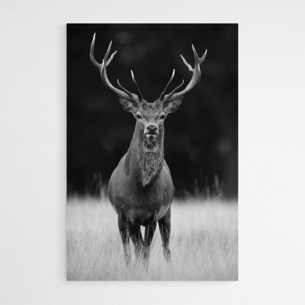 black and white deer art