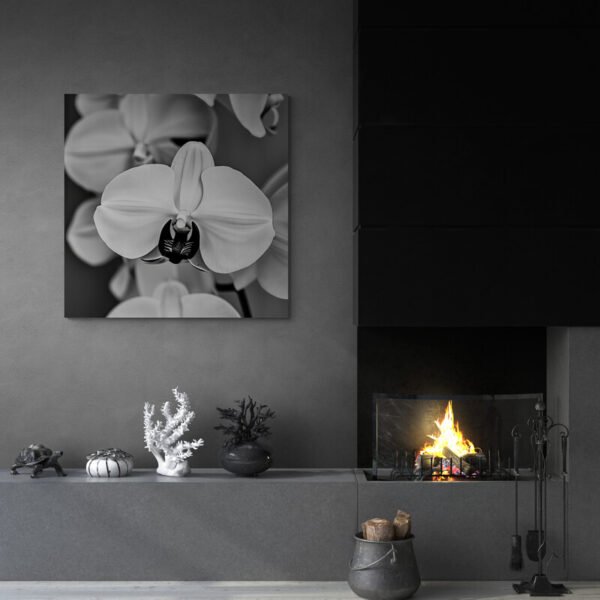 black and white orchid wall art