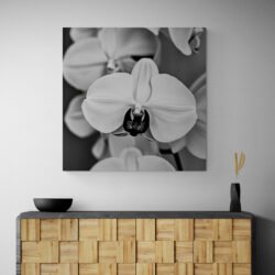 black and white orchid wall art