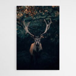 black deer art