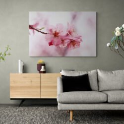 cherry flower painting