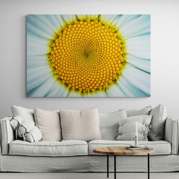 daisy wall art