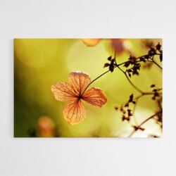 dried flower wall art