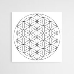 flower of life art